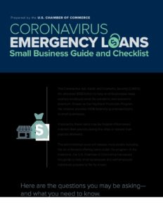 Care Act Emergency SBA Loans 003 pdf