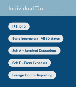 individual tax preparation 1040